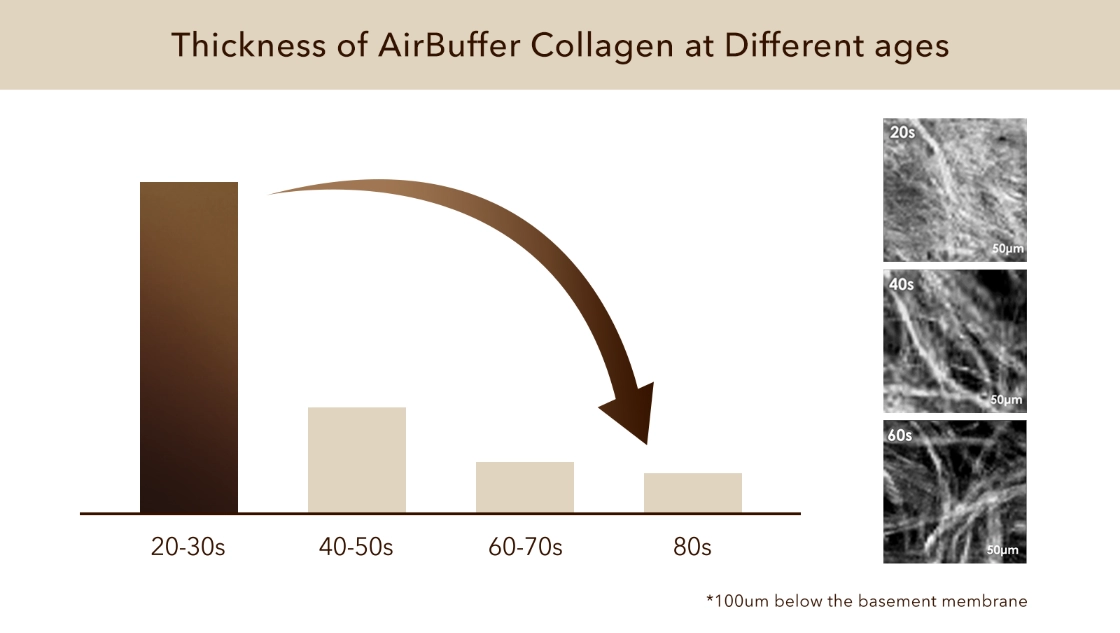 Thickness of AirBuffer Collagen at Different Ages